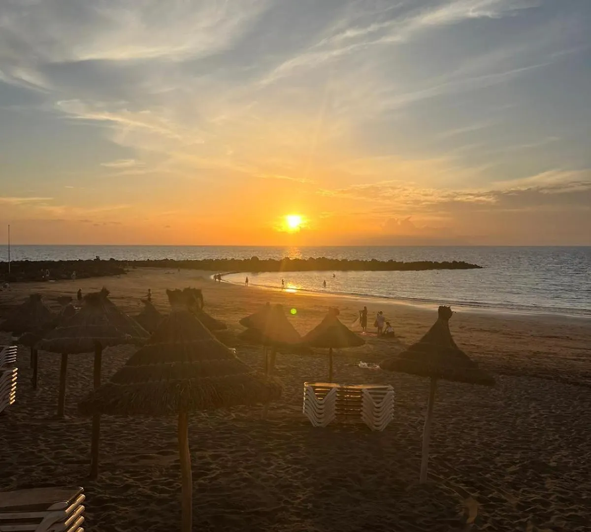 Apartamento en primera línea de playa, céntrico, tranquilo Playa de las Américas