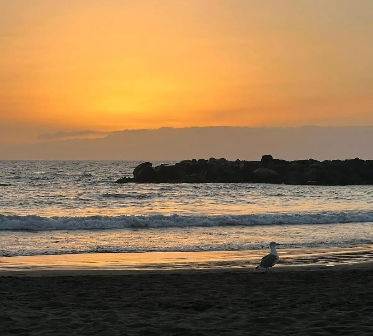Appartement Apartamento en primera línea de playa, céntrico, tranquilo Playa de las Américas